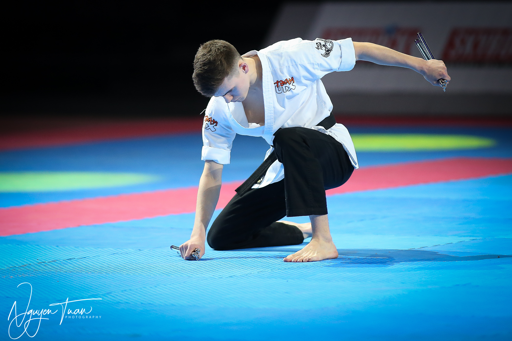 20190324 Festival des Arts Martiaux 0178